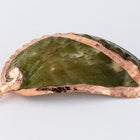 50mm Green Abalone Shell with Gold Accents #SHELL 2-General Bead