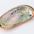 50mm Green Abalone Shell with Gold Accents #SHELL 2-General Bead