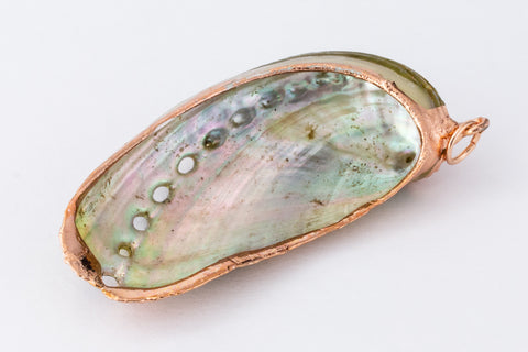 50mm Green Abalone Shell with Gold Accents #SHELL 2-General Bead