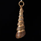 33mm Turret Shell with Gold Accents #SHELL 3-General Bead