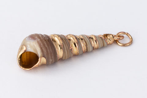 33mm Turret Shell with Gold Accents #SHELL 3-General Bead