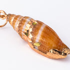 30mm Cerith Shell with Gold Accents #SHELL 4-General Bead