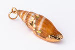 30mm Cerith Shell with Gold Accents #SHELL 4-General Bead