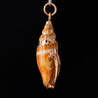 30mm Cerith Shell with Gold Accents #SHELL 4-General Bead