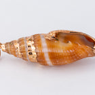 30mm Cerith Shell with Gold Accents #SHELL 4-General Bead