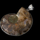 30mm-40mm Ammonite Fossil with Silver Accents #SHELL 7-General Bead