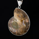 30mm-40mm Ammonite Fossil with Silver Accents #SHELL 7-General Bead