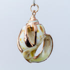 27mm Scotch Bonnet Shell with Gold Accents #SHELL 8-General Bead