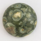 18mm Rhyolite Cabochon #SPC106-General Bead