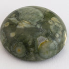 18mm Rhyolite Cabochon #SPC106-General Bead