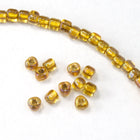 10/0 Gold Lined Shimmer AB Miyuki Triangle Seed Bead (20 Gm) TE1126M-General Bead