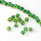 10/0 Green Lined Champagne AB Miyuki Triangle Seed Bead (20 Gm) #TE1165-General Bead
