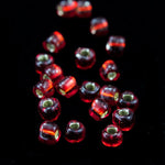 10/0 Silver Lined Ruby Miyuki Triangle Seed Bead-General Bead