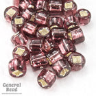8/0 Silver Lined Amethyst Taiwanese Seed Bead-General Bead