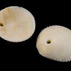 20mm Beige Scallop Shell Drop (4 Pcs) #UP052-General Bead