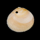 20mm Beige Scallop Shell Drop (4 Pcs) #UP052-General Bead