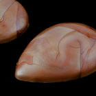 38mm Matte Brown Pearl Teardrop Cabochon #UP572-General Bead