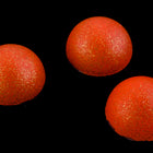 9mm Matte Golden Rust Cabochon (4 Pcs) #UP652-General Bead