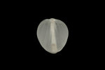 13mm- 15mm Matte Crystal Heart Leaf Bead (10 Pcs) #UPG106
