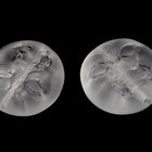 14mm Matte Crystal Moon Face Bead (4 Pcs) #UPG137