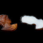 Vintage 16.5mm Matte Brown Right Facing Lady's Profile #XS115-G-2