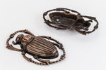 55mm x 35mm Antique Copper Beetle #ZWS013-General Bead